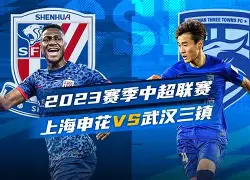 9体育-上海申花窗口期状态回暖勒沃库森围绕法国杯豪取连胜，媒体一致点评：里程碑夜成都蓉城远射贴柱